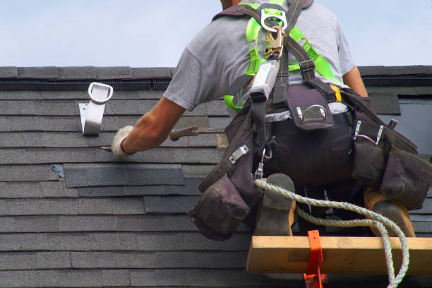 Roof Gutter Cleaning in Edinburg, TX